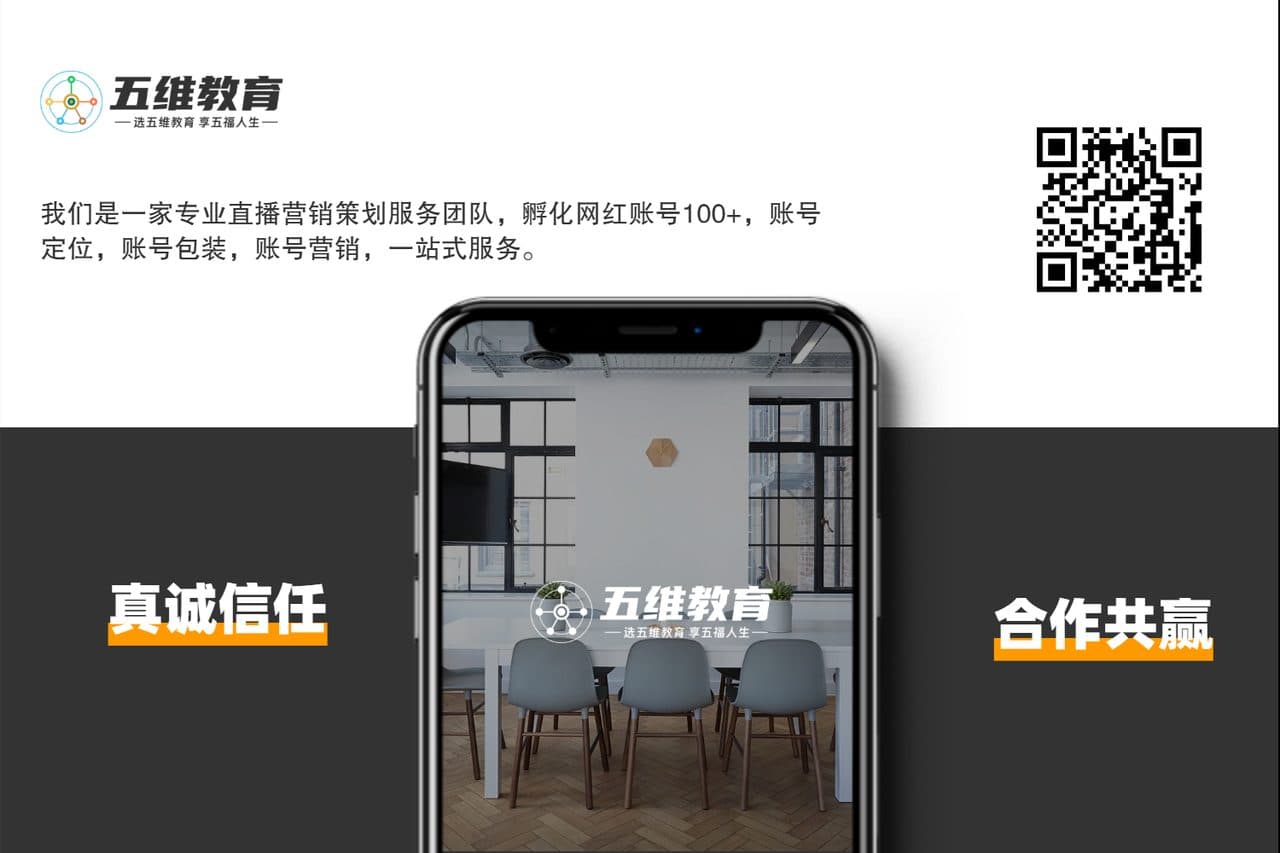 企业品牌介绍简约手机展示效果