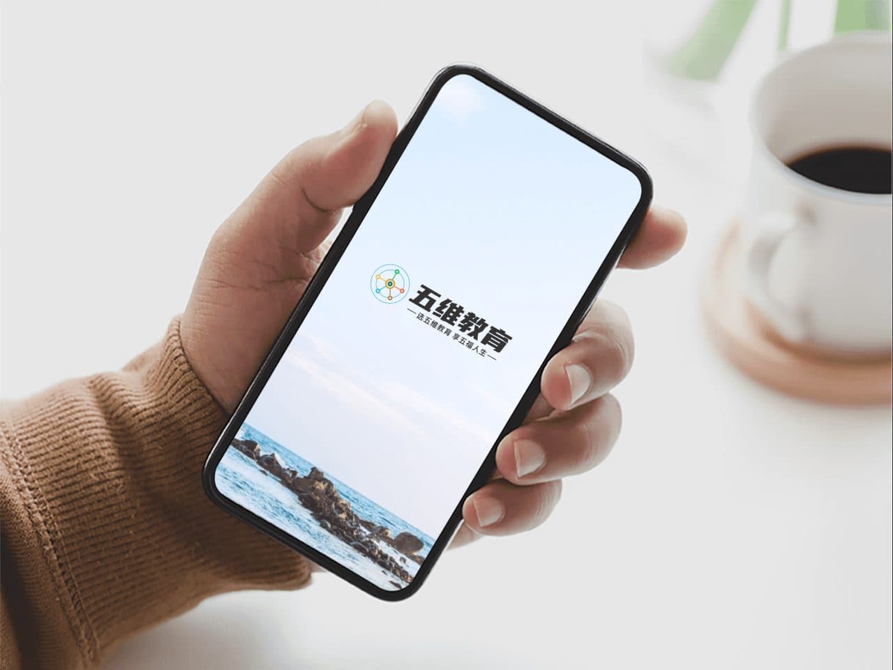 手拿手机LOGO展示效果