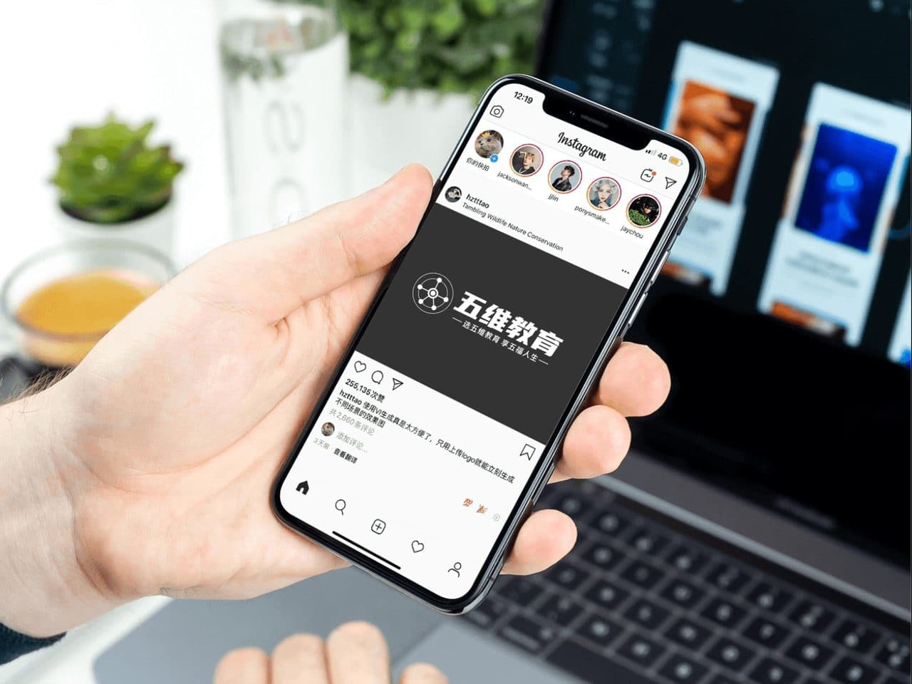手拿手机ins界面展示效果
