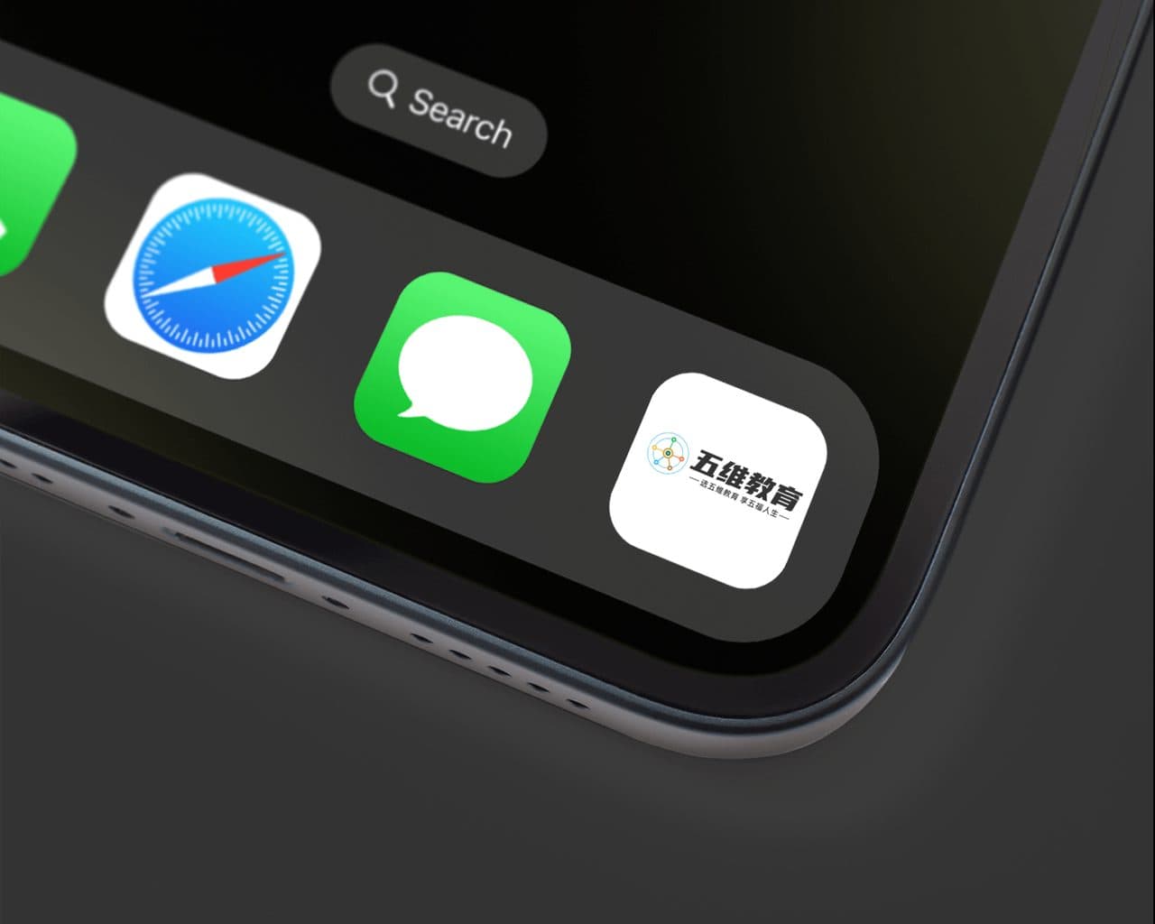 手机图标展示logo样机