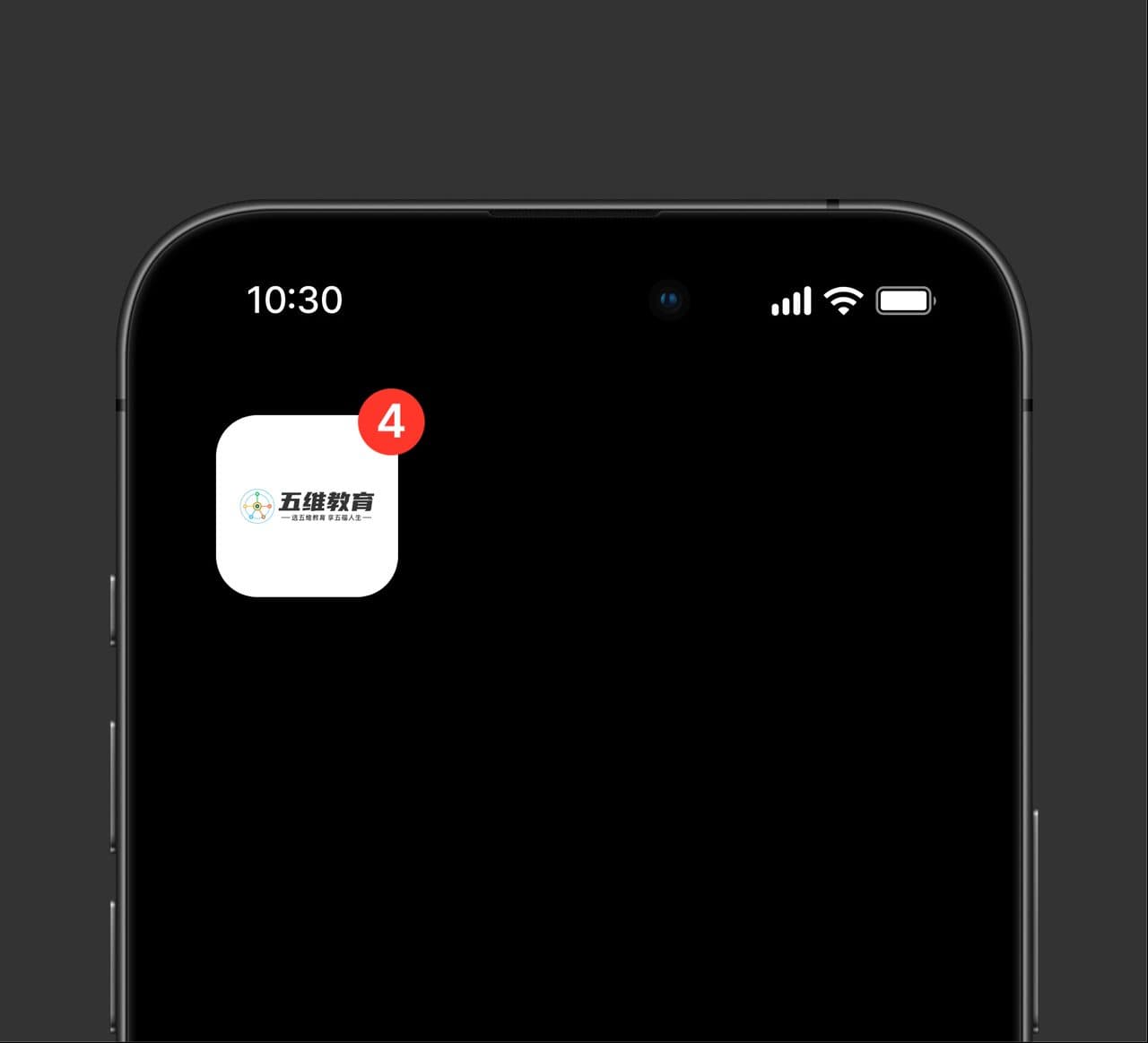 手机屏幕app图标logo样机
