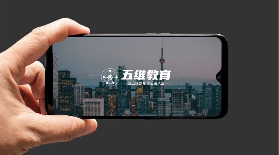 简单手拿手机展示logo效果